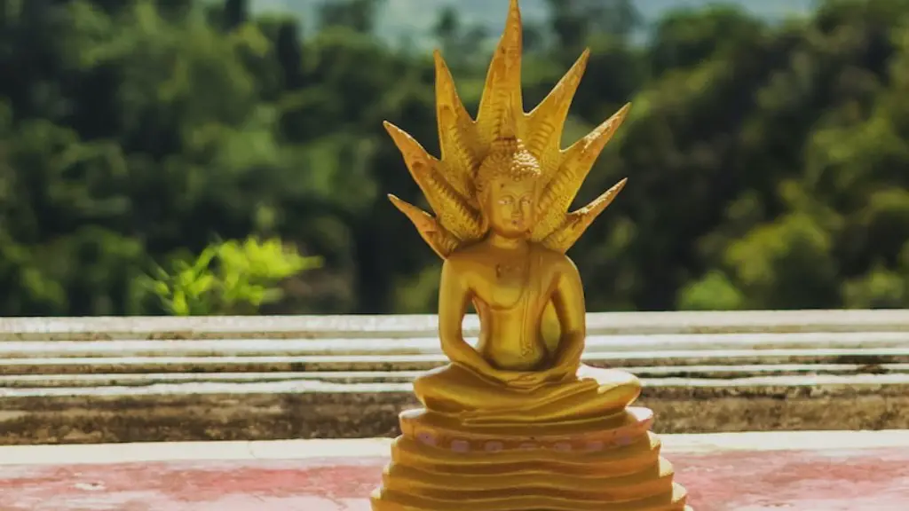 What does the symbol of buddhism look like?